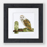 "Barn Owl" Limited Edition Giclee Print