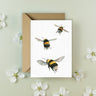 ‘Bumblebee’ Greeting Card