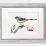 ‘Grey Wagtail’ Limited Edition Giclee Print