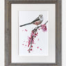 Long Tailed Tit - Limited Edition Print