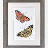 Peacock & Painted Lady Butterflies - Limited Edition Print