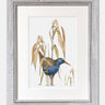 Waterrail - Limited Edition Print