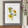 "Nuthatches on Sunflowers" Limited Edition Giclee Print
