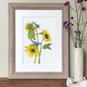 "Nuthatches on Sunflowers" Limited Edition Giclee Print