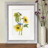 "Nuthatches on Sunflowers" Limited Edition Giclee Print