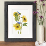 "Nuthatches on Sunflowers" Limited Edition Giclee Print