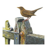 ‘Blackbird’ Original Drawing