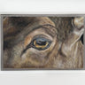 ‘Red Deer Eye Study’ Original Drawing