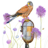 "Kestrel" Limited Edition Giclee Print