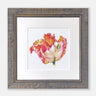 ‘Apricot Tulip’ Limited Edition Giclee Print