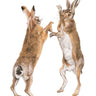 'Boxing Hares' Limited Edition Giclee Print