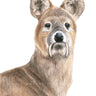 ‘Chinese Water Deer’ Limited Edition Giclee Print