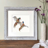 ‘Fighting Pheasant’ Limited Edition Giclee Prints