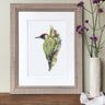 'Green Woodpecker' Limited Edition Giclee Print