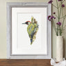 'Green Woodpecker' Limited Edition Giclee Print