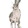 "Harry the Hare" Limited Edition Giclee Print