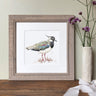 ‘Lapwing’ Limited Edition Giclee Print