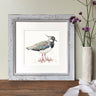 ‘Lapwing’ Limited Edition Giclee Print