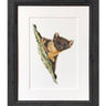 Pine Marten - Limited Edition Print