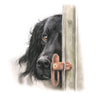 “Ready and Waiting” Limited Edition Giclee Print