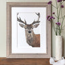 ‘Red Deer’ Limited Edition Giclee Print
