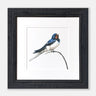 ‘Swallow’ Limited Edition Giclee Print