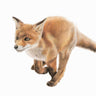 "Fox Cub" Limited Edition Giclee Print