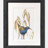 Waterrail - Limited Edition Print