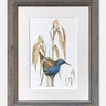 Waterrail - Limited Edition Print