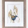 Waterrail - Limited Edition Print