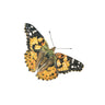 'Painted Lady' Butterfly Limited Edition Giclee Print