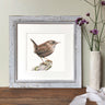 ‘Wren’ Limited Edition Giclee Print